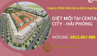 diet-moi-tai-centa-city-hai-phong