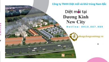 diet-moi-tai-duong-kinh-new-city