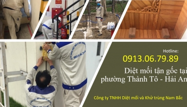 diet-moi-thanh-to