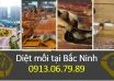 diệt mối giá rẻ tại bắc ninh
