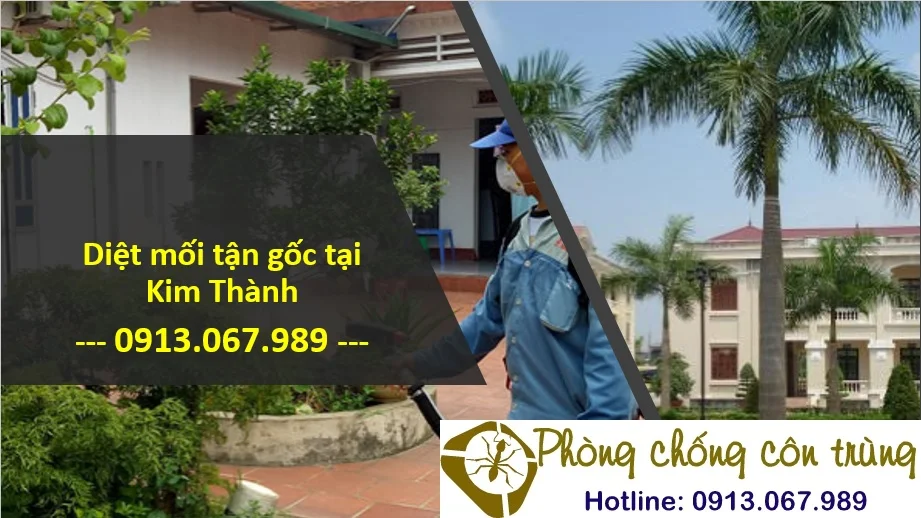 diệt mối tại huyện Kim Thành