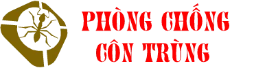 Phòng chống Côn trùng