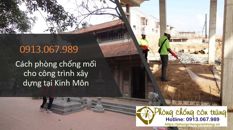 Dịch vụ phòng chống mối cho công trình tại Kinh Môn