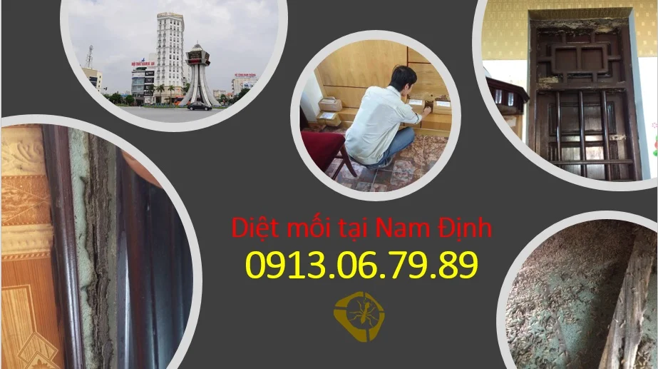 diet moi tai nam dinh