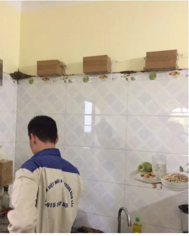 dat-hop-ba-nhu-moi