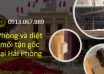 diet-moi-tai-hai-phong
