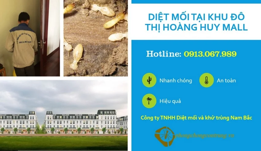 diet-moi-tai-hoang-huy-mall