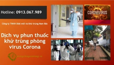 dich-vu-phun-phong-corona