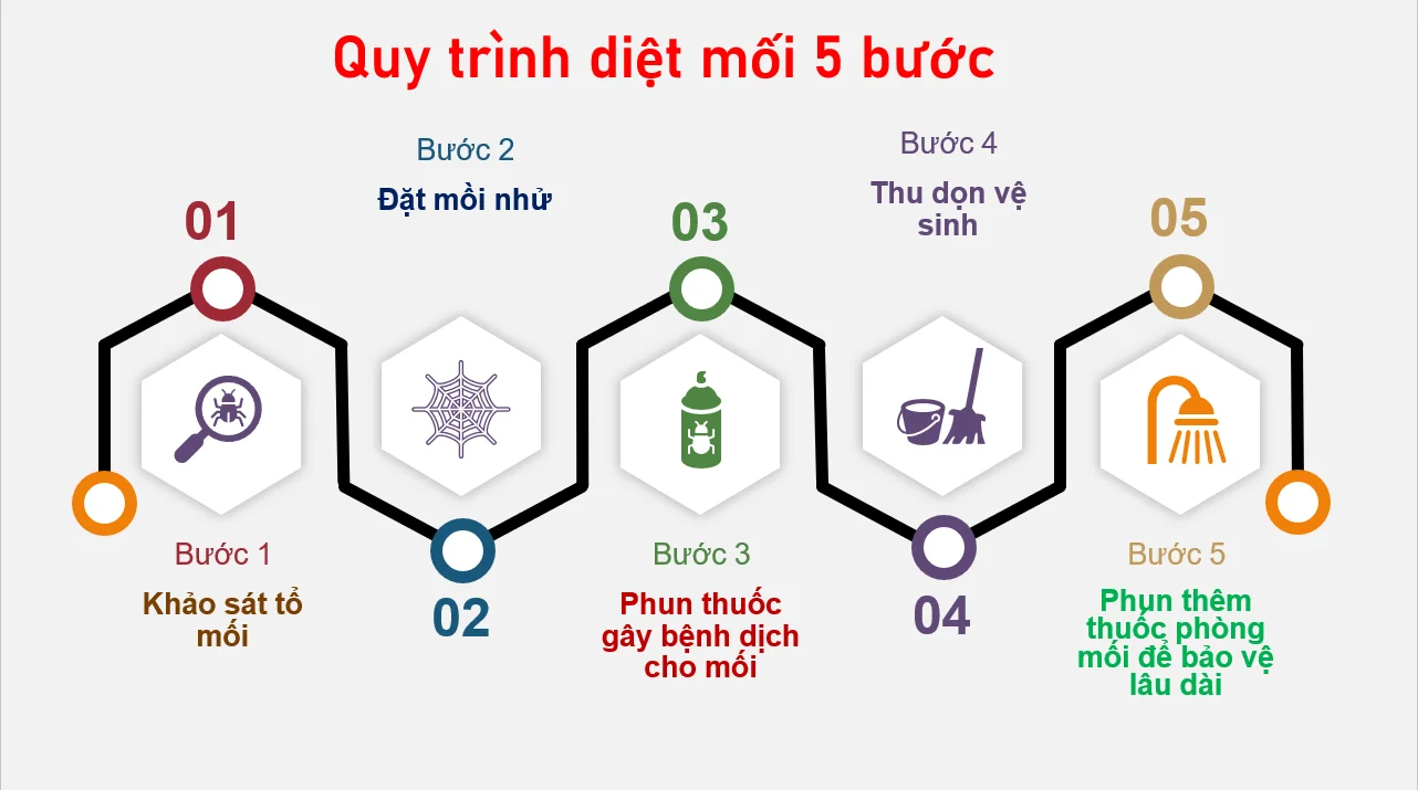 quy-trinh-diet-moi