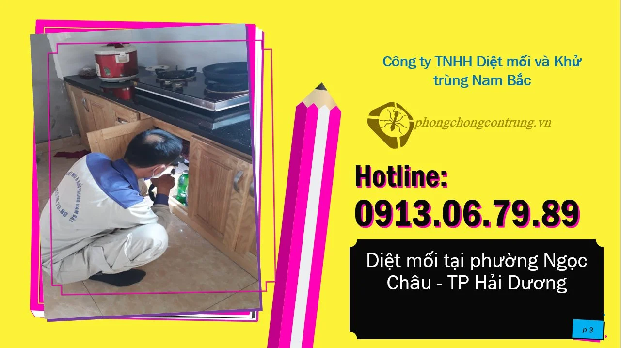 diet-moi-tai-ngoc-chau