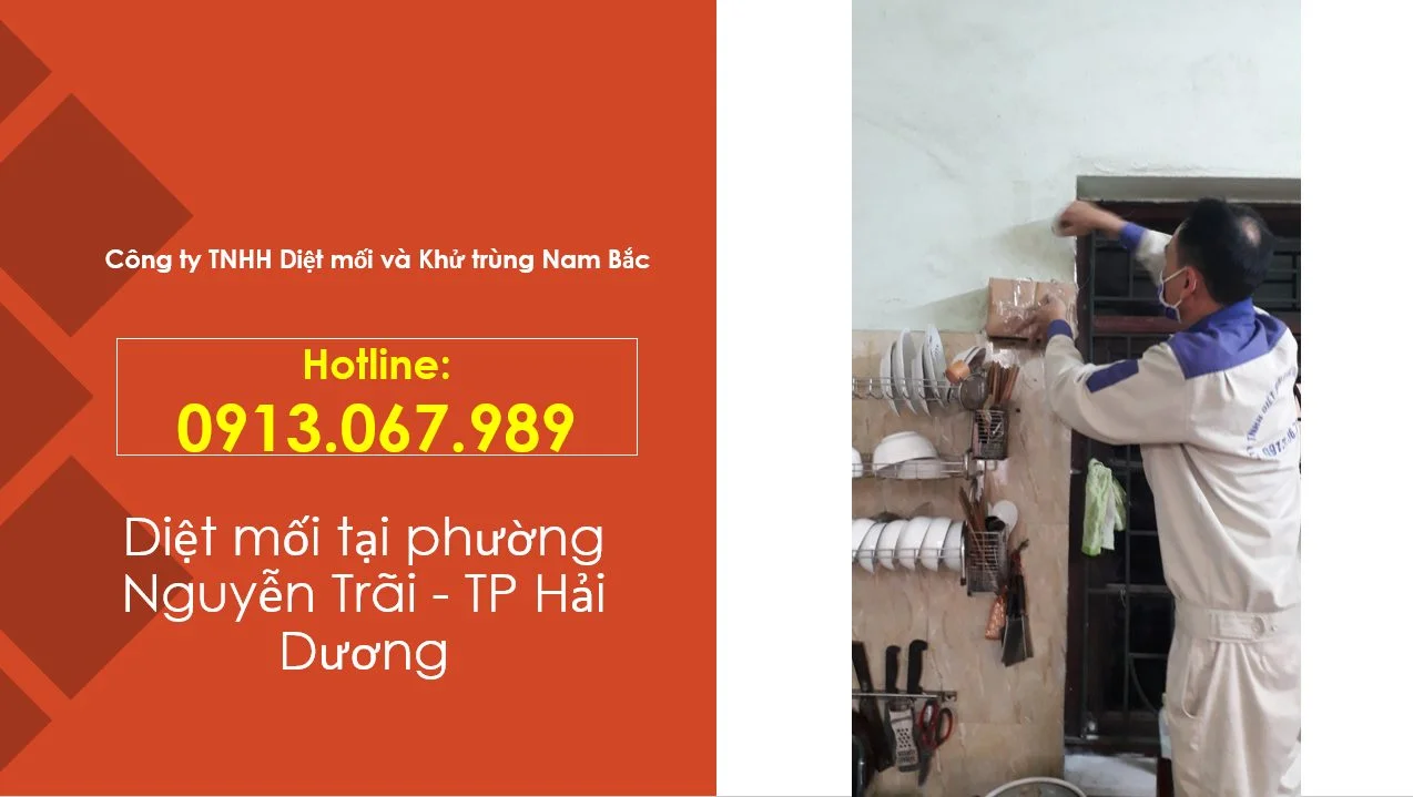 diet-moi-tai-nguyen-trai-tp-hai-duong