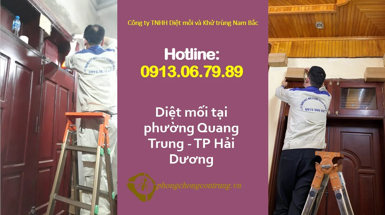 diet-moi-tai-quang-trung