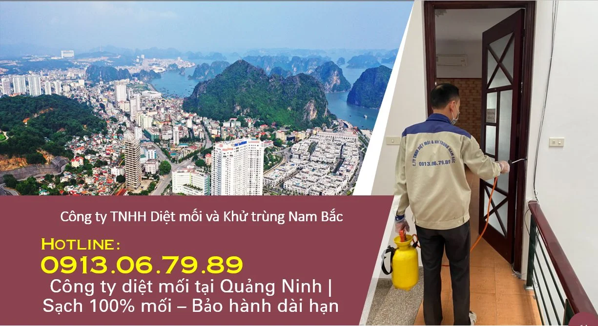 diet-moi-tai-quang-ninh