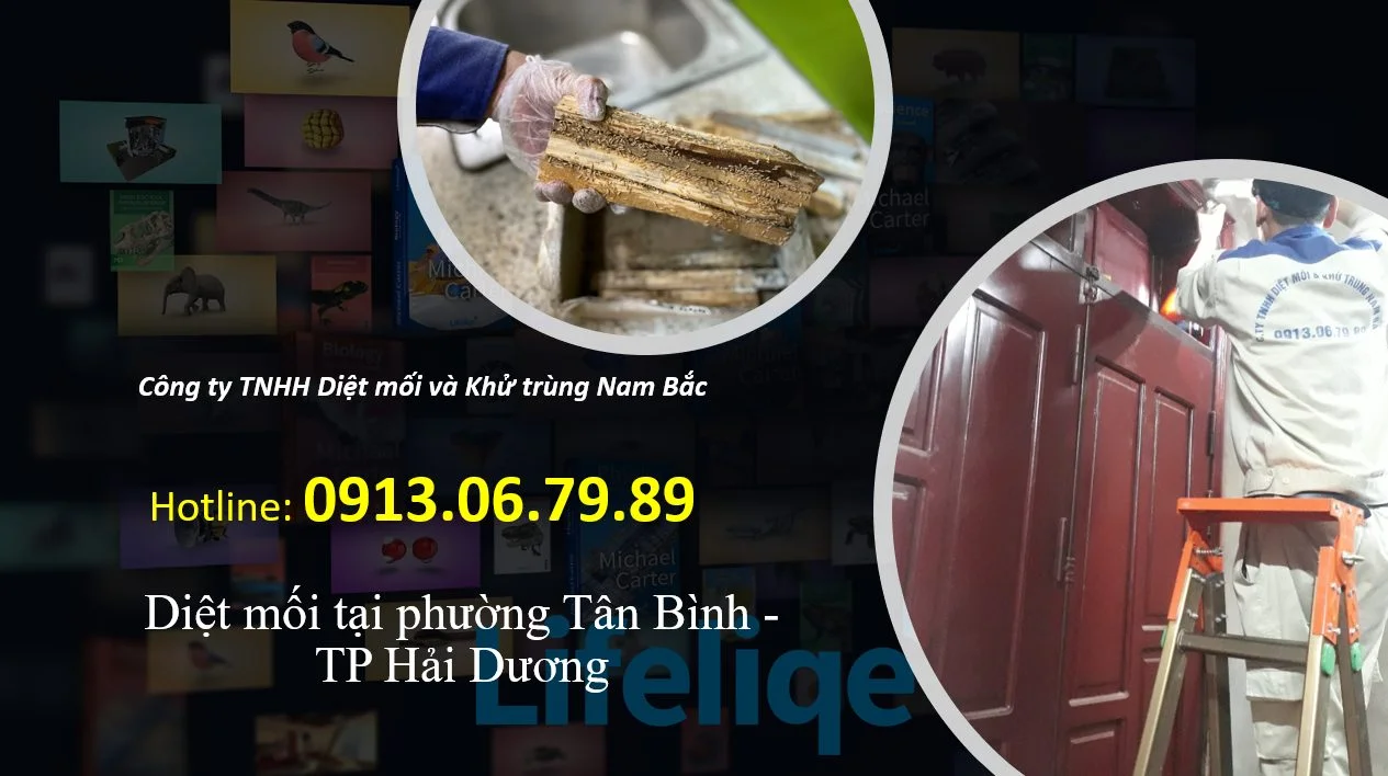 diet-moi-tai-tan-binh