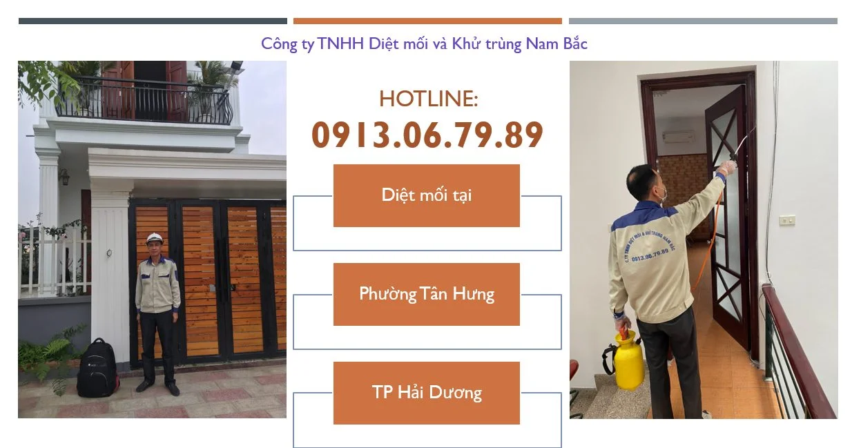 diet-moi-tai-phuong-tan-hung