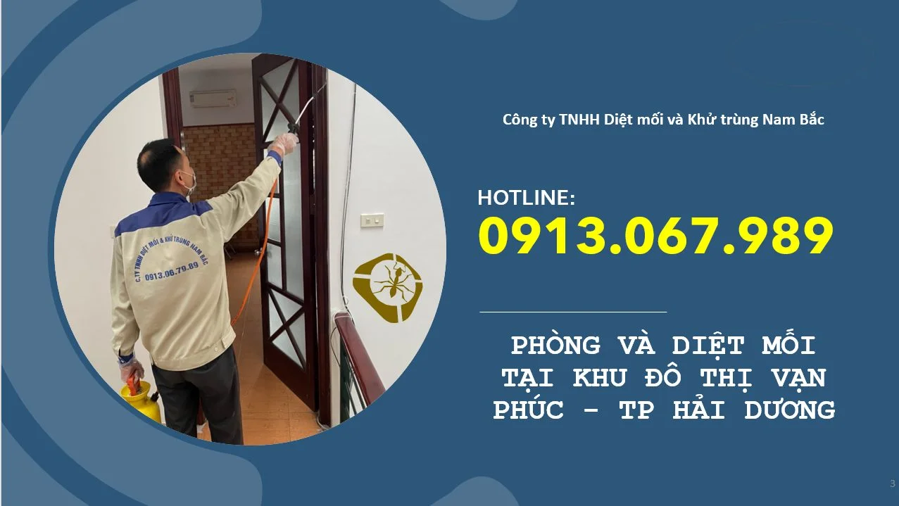 diet-moi-van-phuc