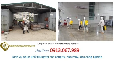phun-khu-trung-tai-ca-nha-may