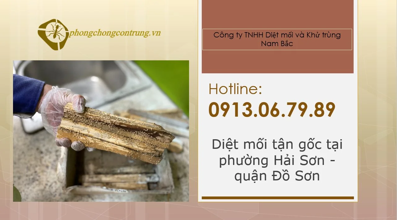 diet-moi-tai-hai-son