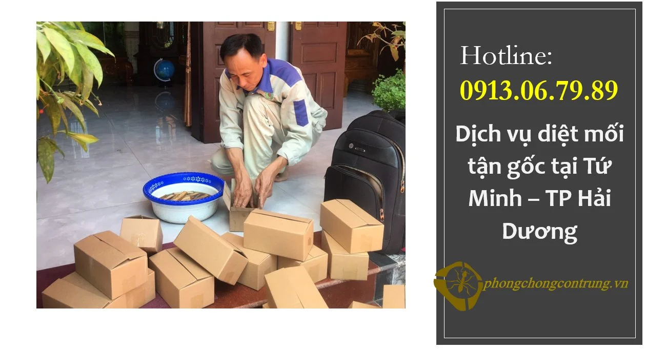 diet-moi-phuong-tu-minh