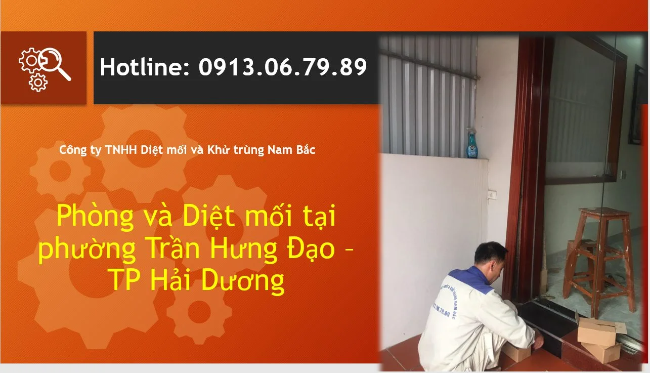 diet-moi-phuong-tran-hung-dao