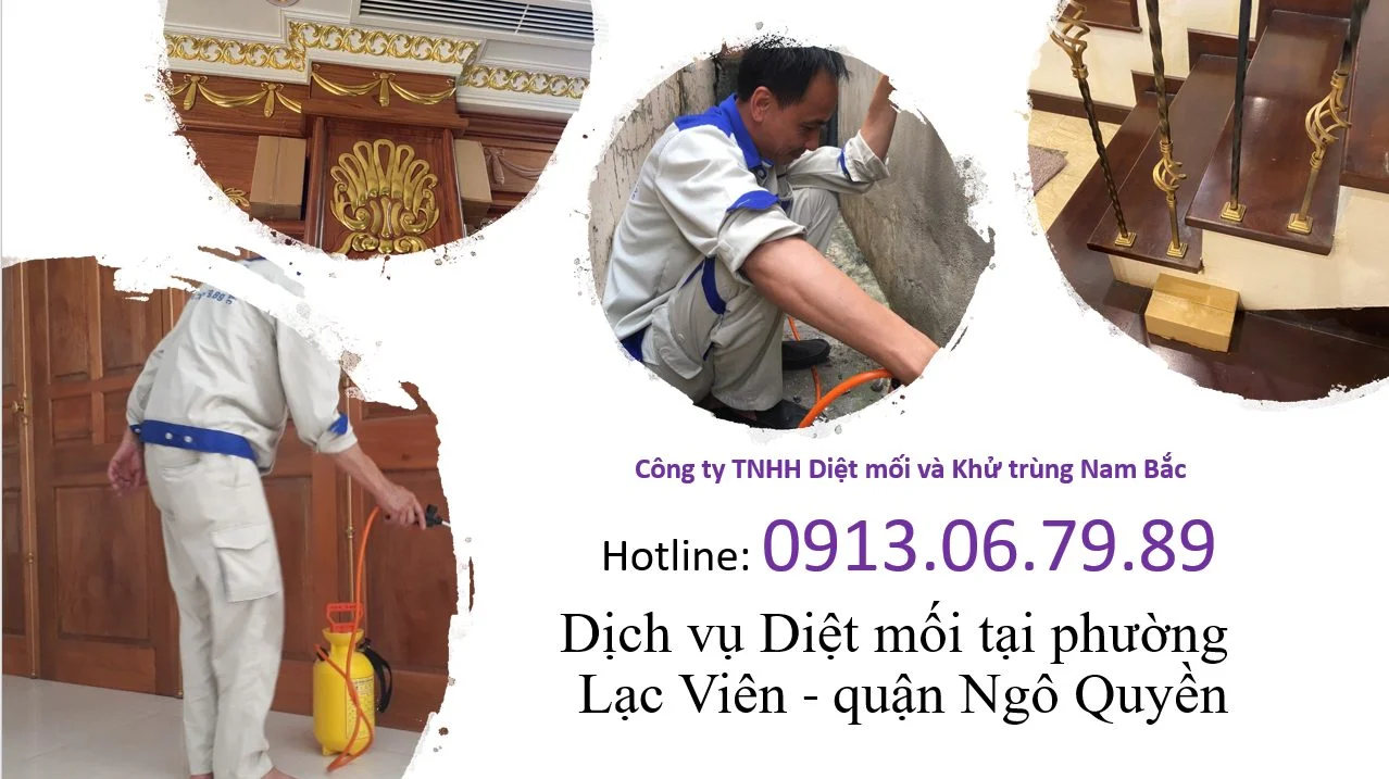 diet-moi-tai-lac-vien