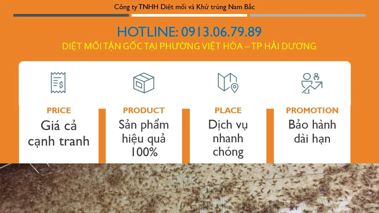 diet-moi-phuong-viet-hoa