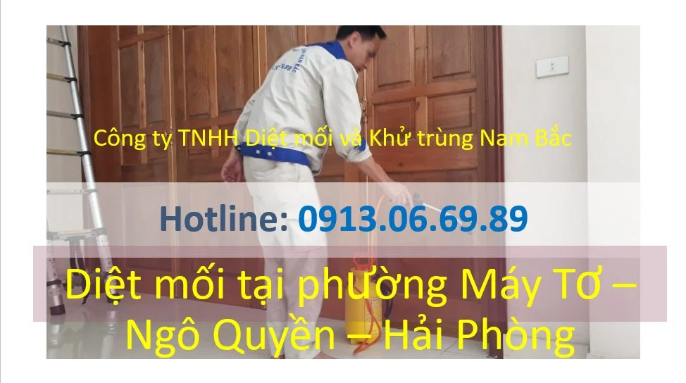 diet-moi-may-to