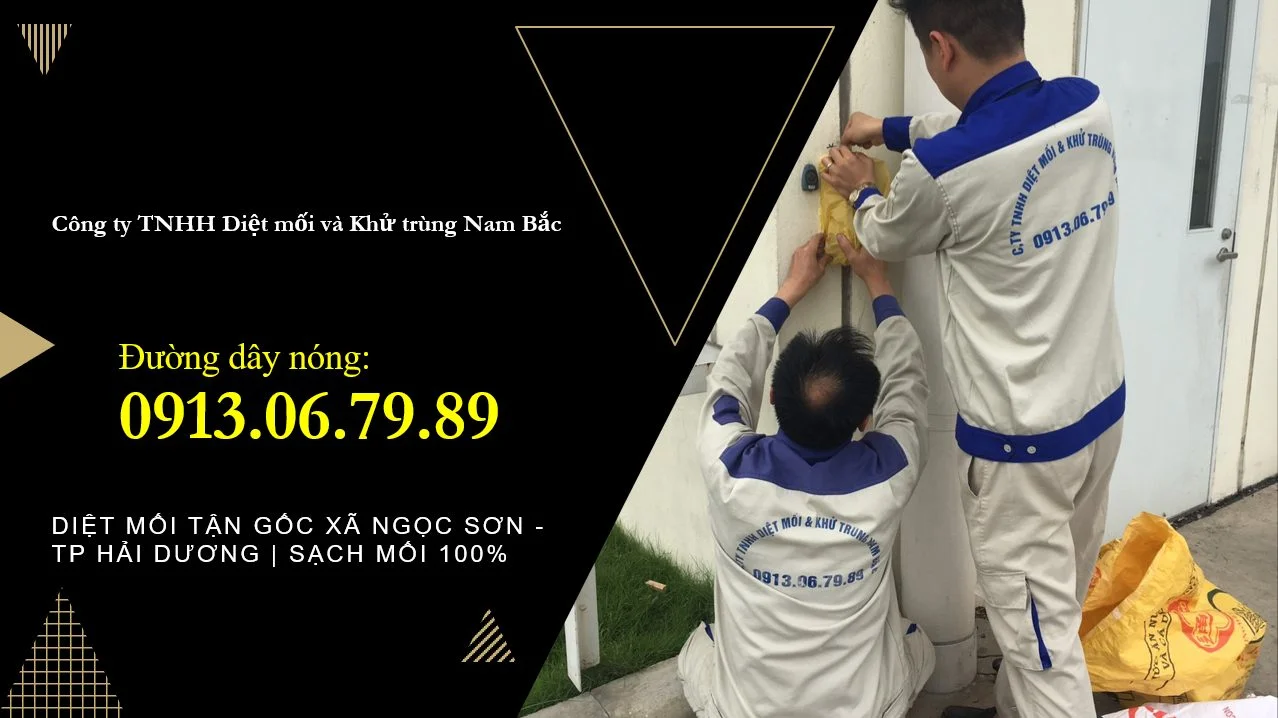 diet-moi-tai-ngoc-son