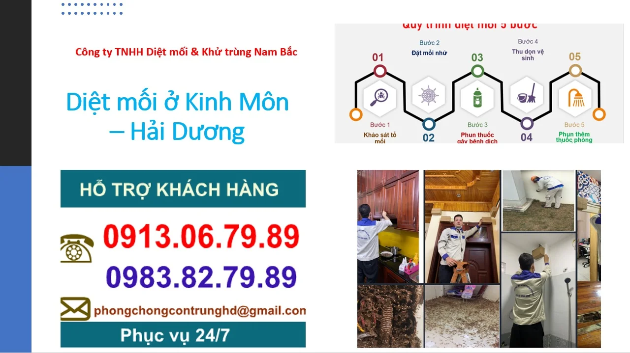 diet-moi-o-an-sinh-kinh-mon