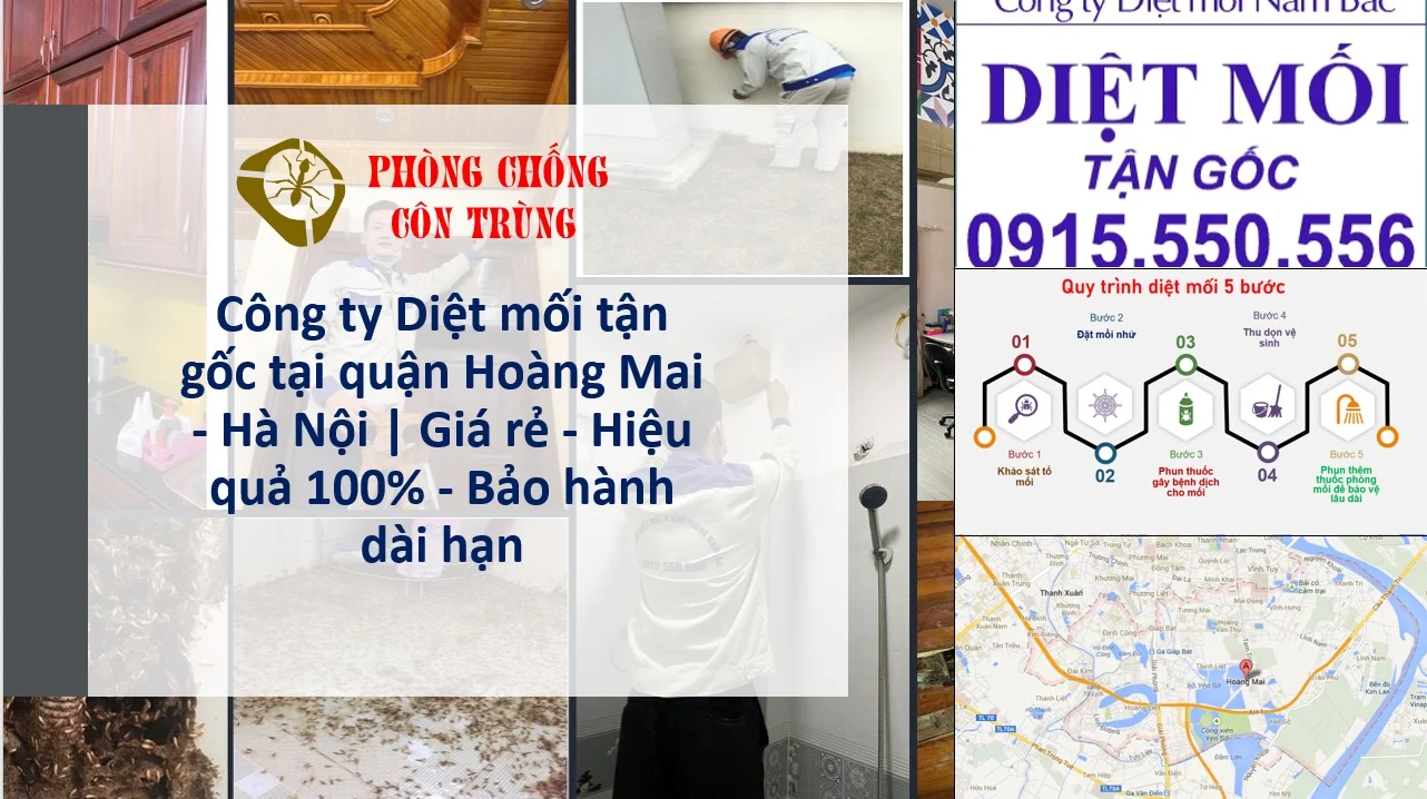 diet-moi-hoang-mai