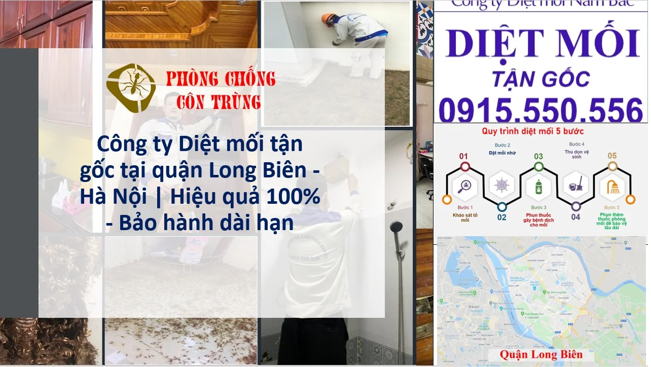 diet-moi-long-bien