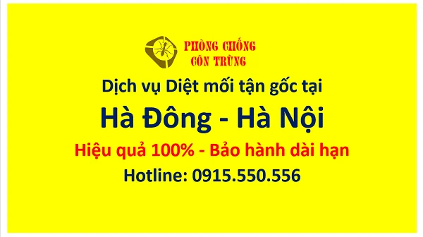 diet moi tai ha dong ha noi