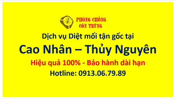 diet moi tai cao nhan